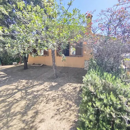 Nives Hébergement de vacances Domus De Maria